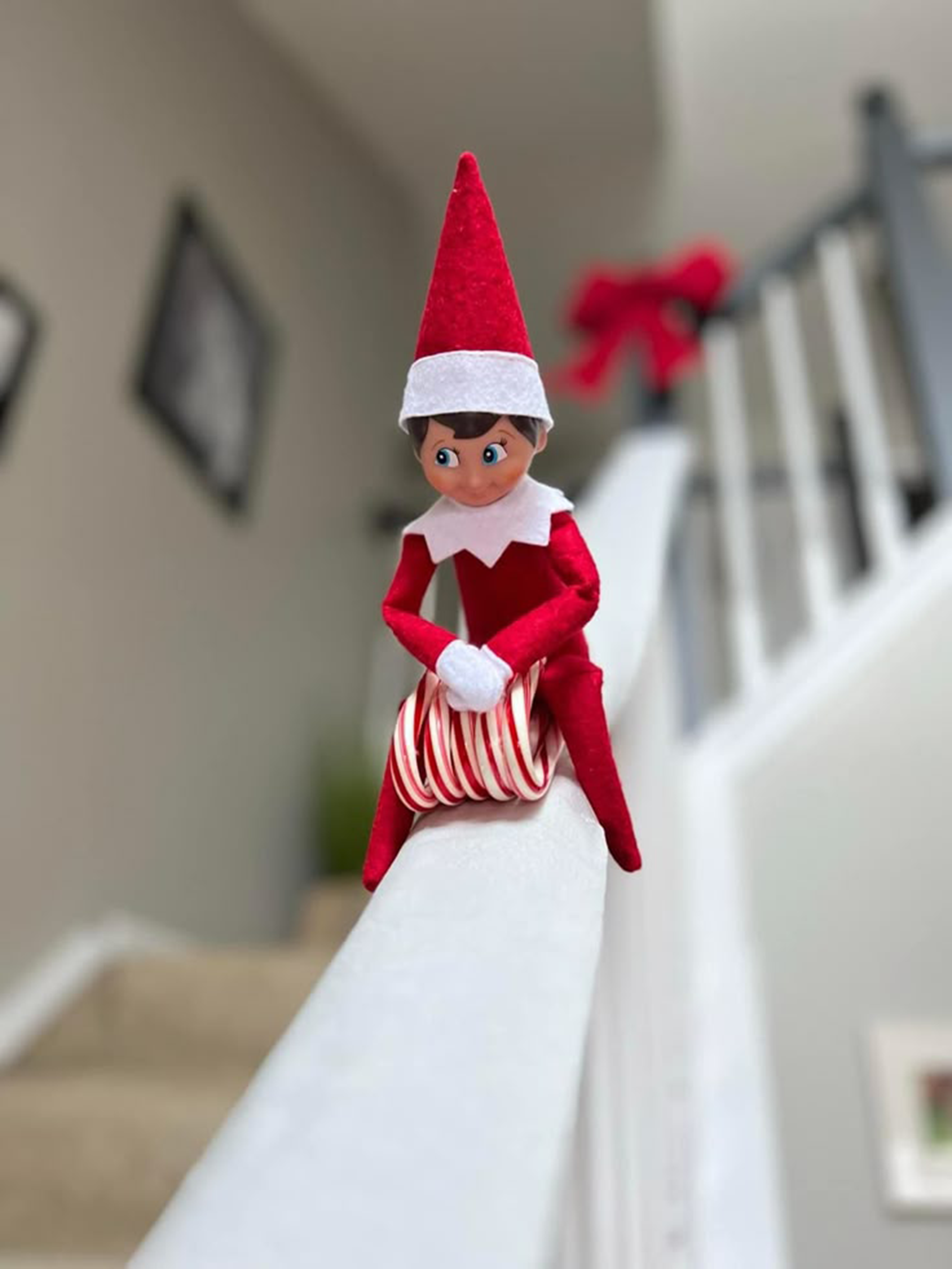 A FAMILY TRADITION | ELF ON TE SHELF