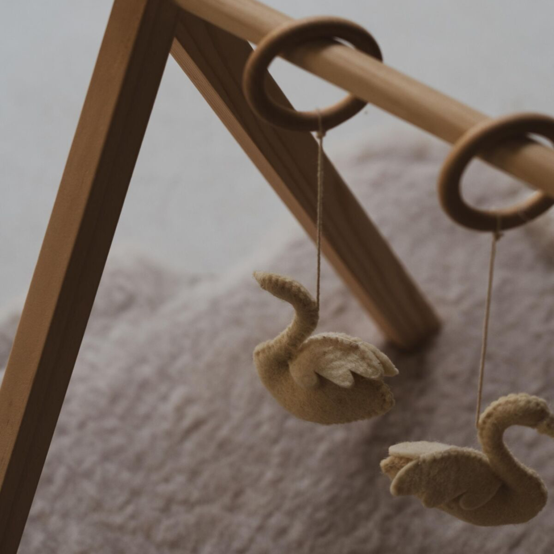 ACTIVITY ARCH | SWANS