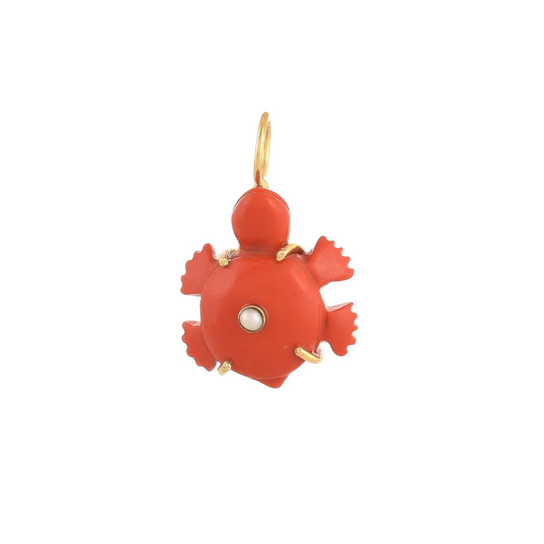 Turtle | Charm
