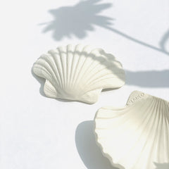 BIJTSPEELGOED | SHELL 