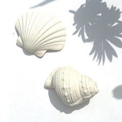 BIJTSPEELGOED | SHELL ROUND 