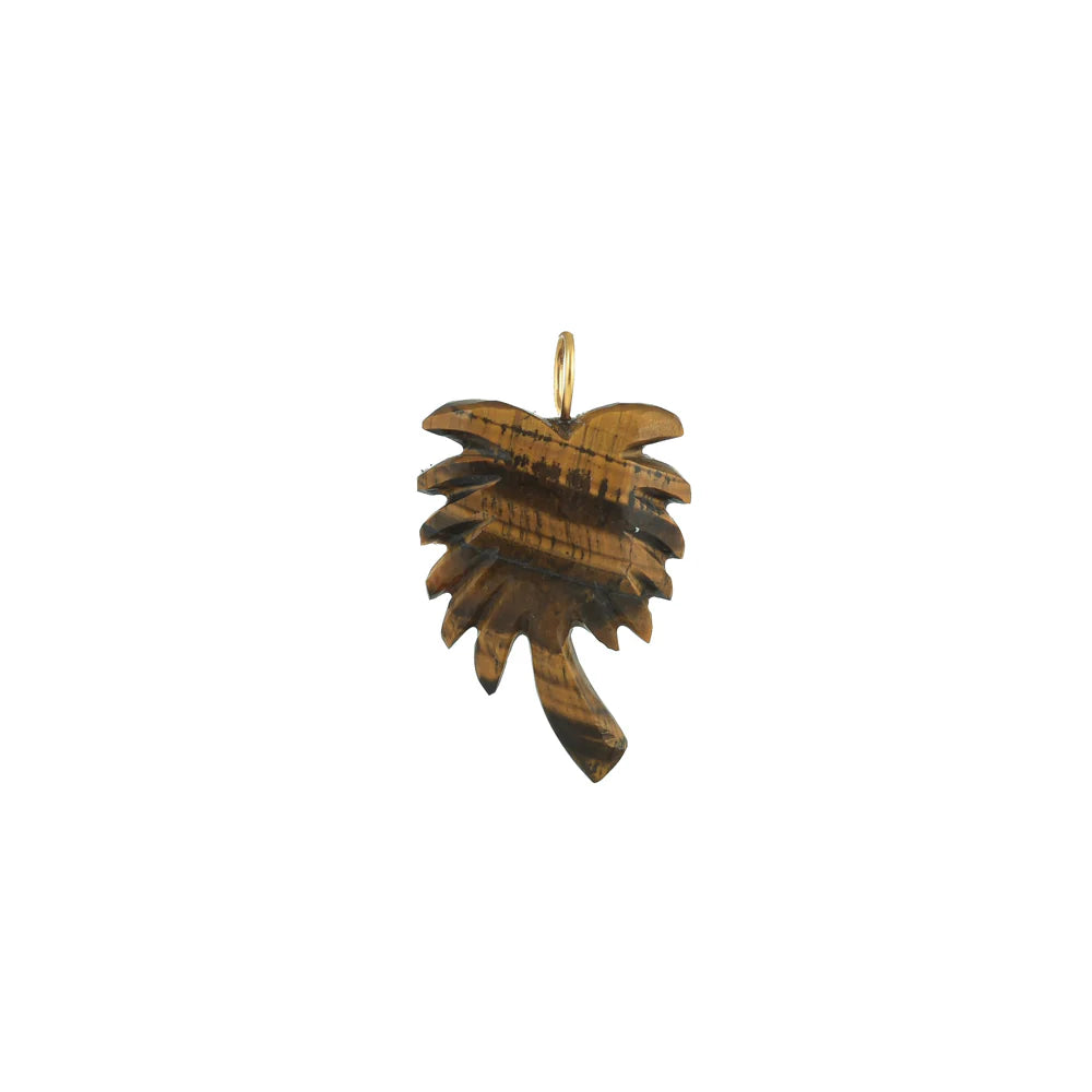 Tiger eye palm tree | Charm