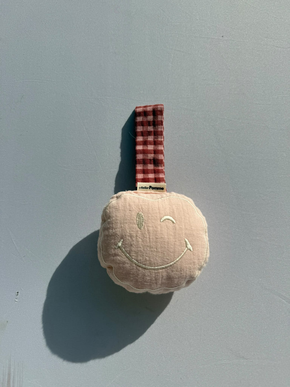 SAMPLE SALE |Pacifier Cloth Pomme Pinky Promise