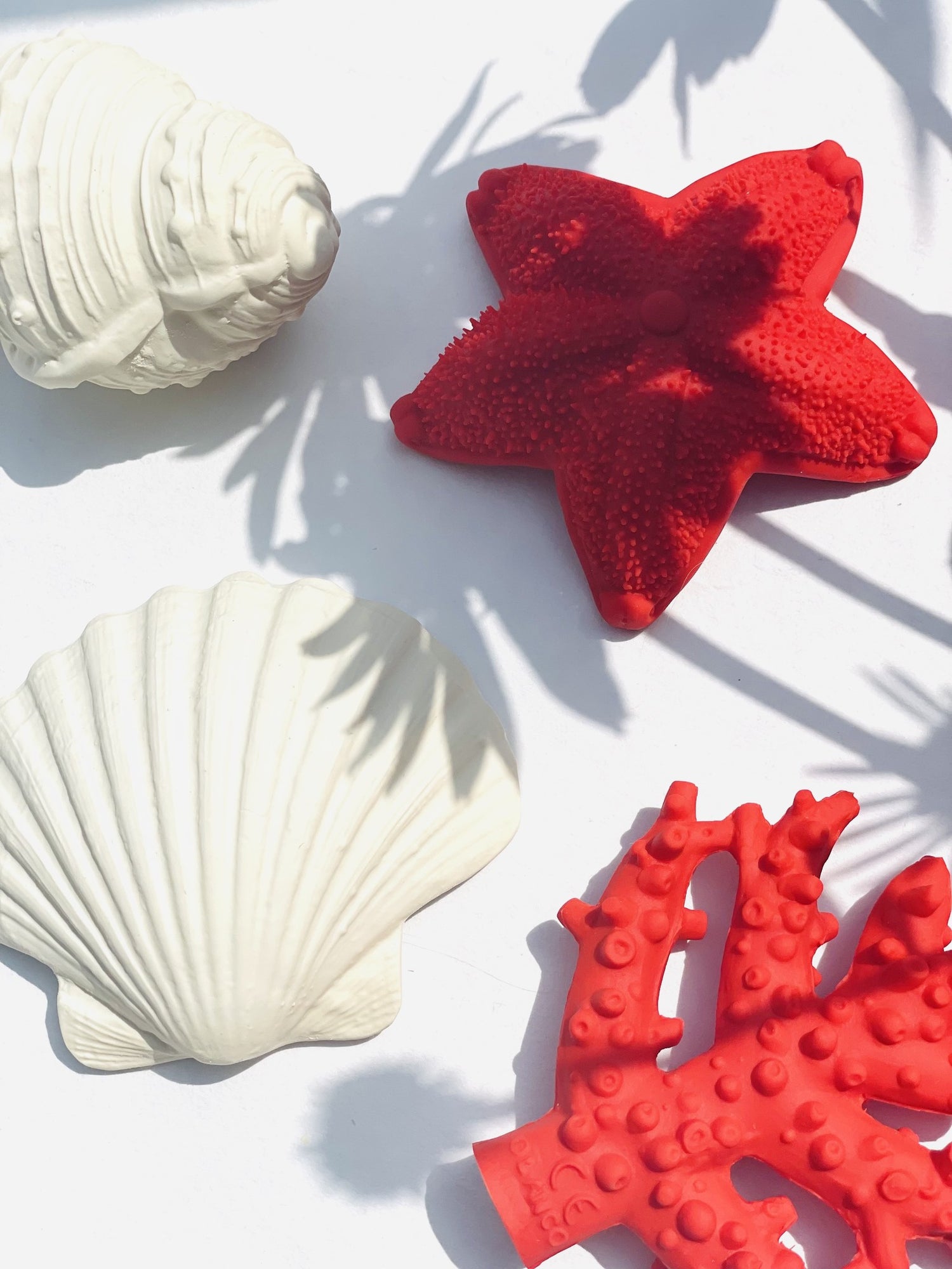 BIJTSPEELGOED | SHELL 