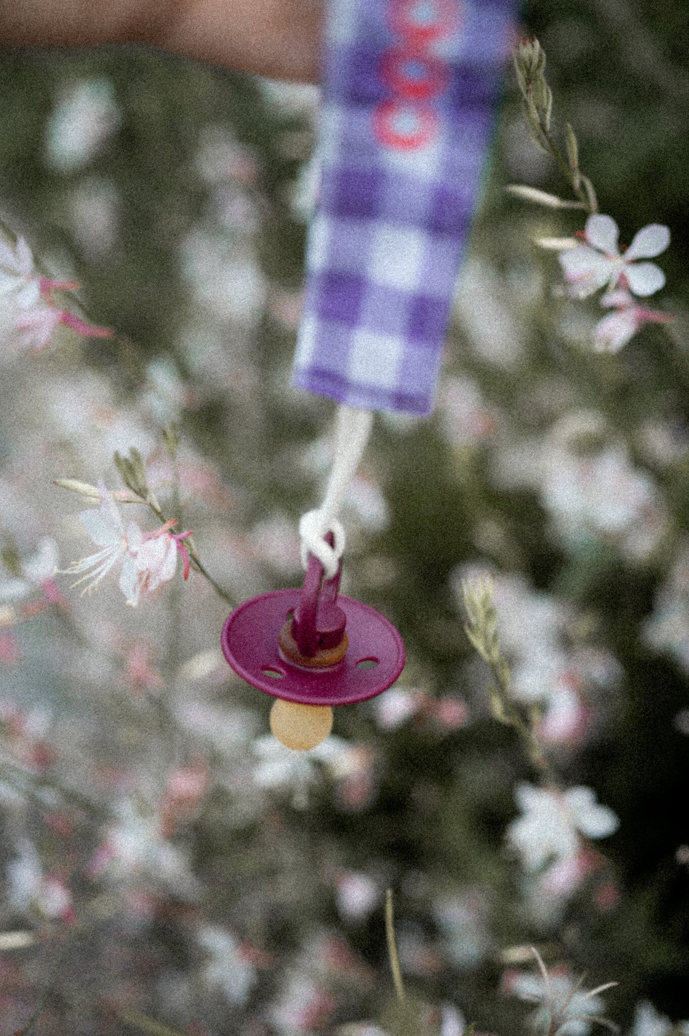SPEENKOORD CHECKED | PURPLE RAIN