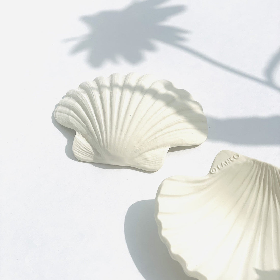 TEETHING TOY | SHELL