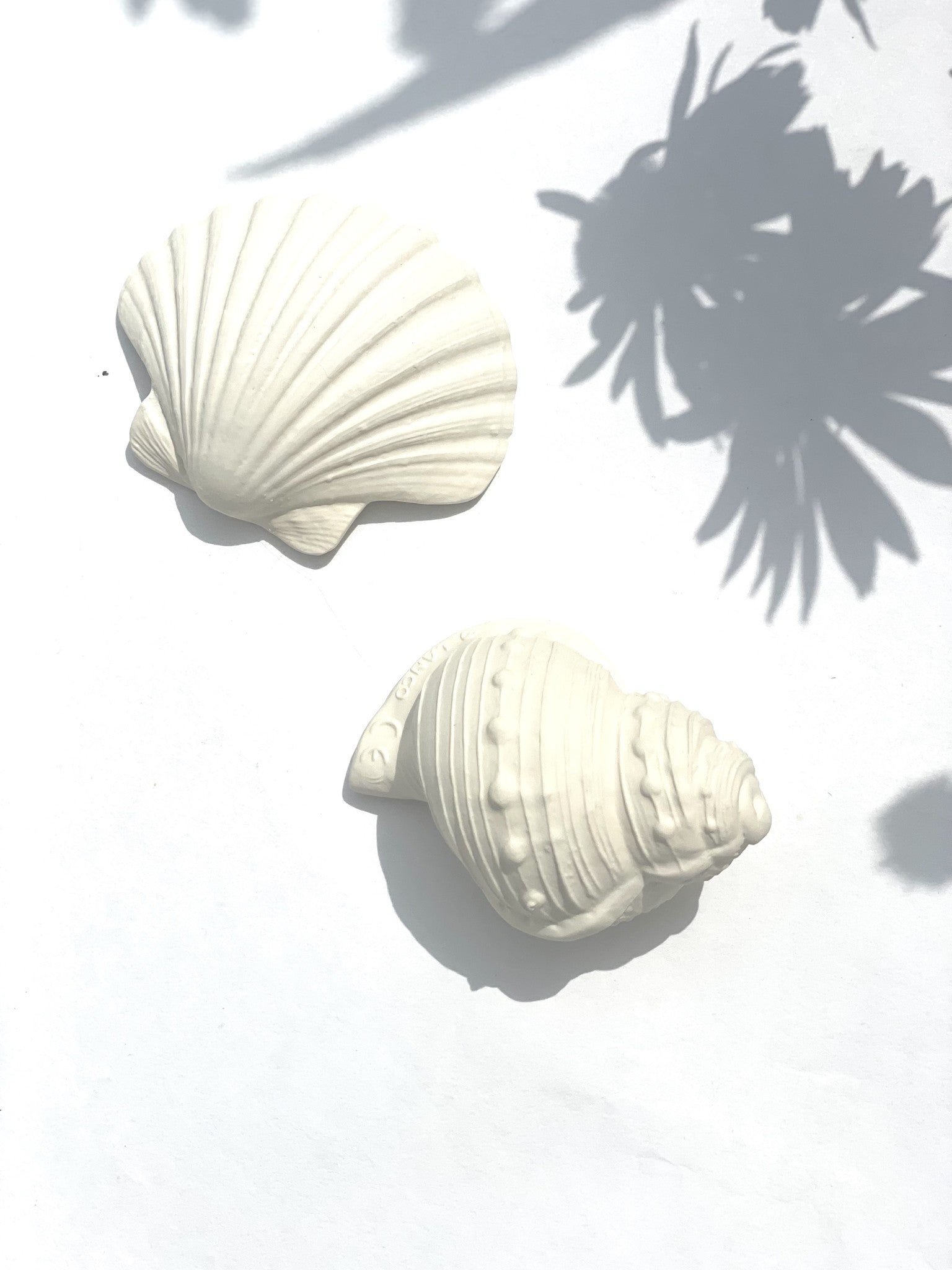 BIJTSPEELGOED | SHELL 