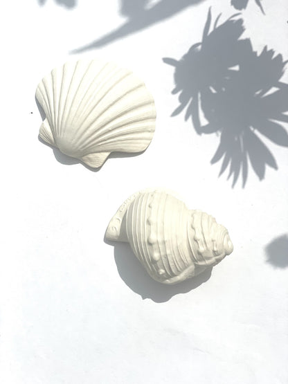 BIJTSPEELGOED | SHELL 